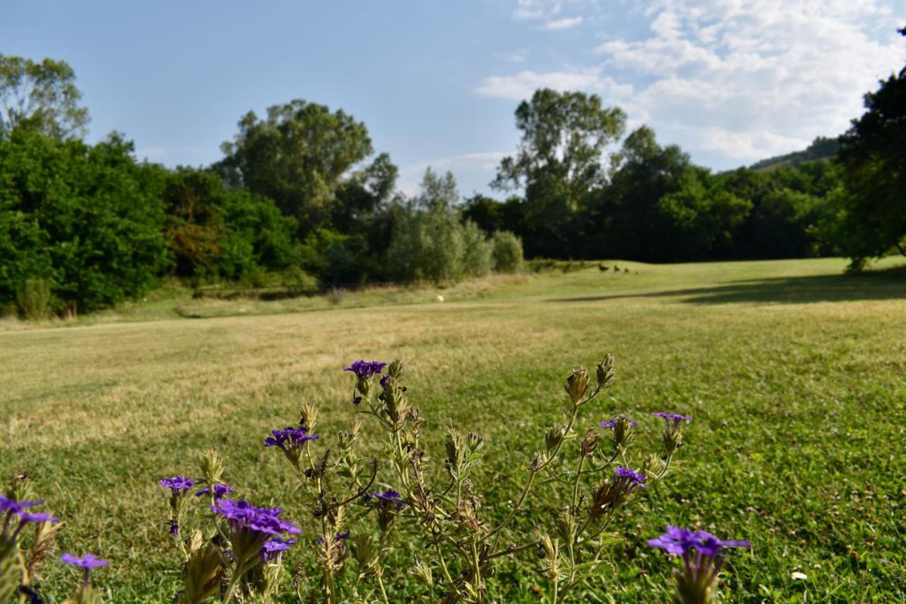 Agriturismo La Sorgente Camerano Exteriör bild